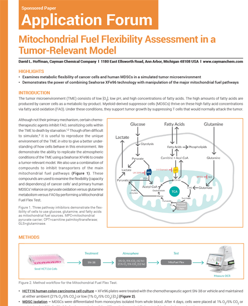 Mitochondrial Fuel Flexibility Assessment in a Tumor-Relevant Model